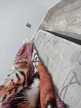 lm279 online show from February 27, 2025, 1:08 am