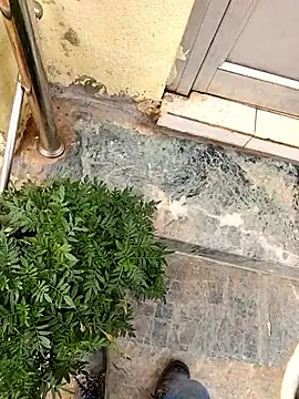 Ishan003 online show from March 6, 2026, 3:12 am