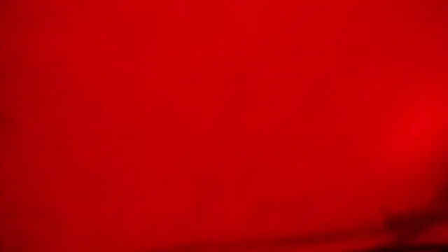 Nathaly love96 online show from February 12, 2026, 5:13 pm