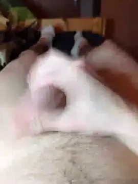 Snapshot of Crazzy_Maiky chatting on January 29, 2025, 9:07 pm Crazzy Maiky online show from January 29, 2025, 9:07 pm