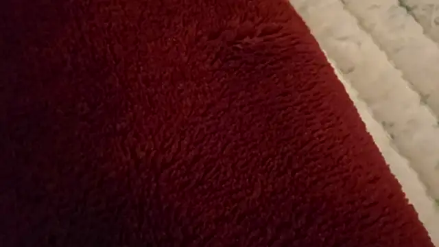 Snapshot of ChillzPnp chatting on February 5, 2026, 3:13 am ChillzPnp online show from February 5, 2026, 3:13 am