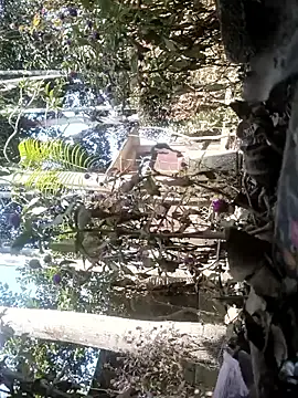 AssamSilchar93 online show from February 7, 2026, 6:10 am