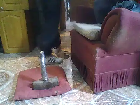 ar Lily online show from December 8, 2024, 10:30 am