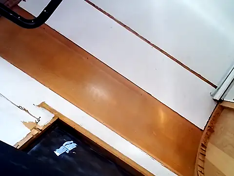 ed44435 online show from October 28, 2025, 5:12 pm