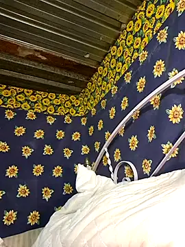 Snapshot of bull_Giant chatting on February 3, 2025, 2:47 am bull Giant online show from February 3, 2025, 2:47 am