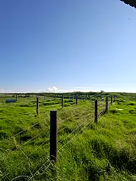 Snapshot of bull_Giant chatting on February 22, 2025, 3:03 pm bull Giant online show from February 22, 2025, 3:03 pm