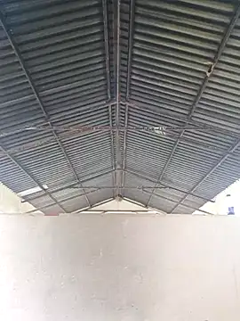 Snapshot of bull_Giant chatting on February 20, 2025, 11:42 am bull Giant online show from February 20, 2025, 11:42 am