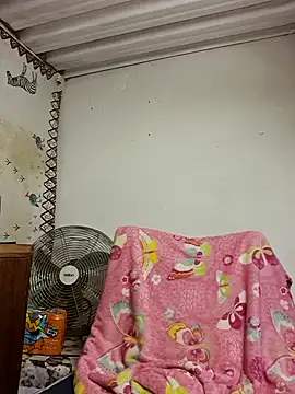 Snapshot of bull_Giant chatting on January 31, 2025, 9:26 pm bull Giant online show from January 31, 2025, 9:26 pm