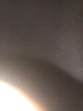 Eldelas guachas online show from December 5, 2025, 12:37 pm