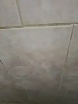 AlkalineCalmness online show from April 11, 2026, 6:32 am