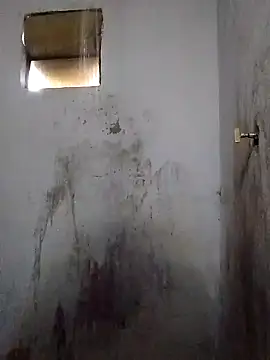 Snapshot of Percybr4561 chatting on November 1, 2025, 1:16 pm Percybr4561 online show from November 1, 2025, 1:16 pm