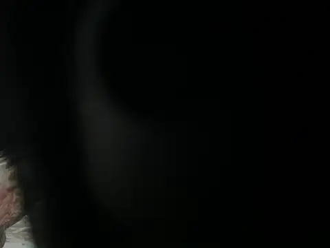 JOJO xxx 123 online show from April 7, 2026, 2:24 am