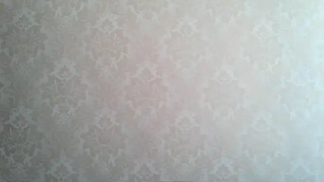 Snapshot of Kashtanka_ chatting on October 28, 2025, 5:50 am Kashtanka online show from October 28, 2025, 5:50 am