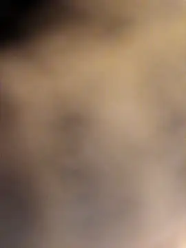 Jsexconn69 online show from February 16, 2026, 11:42 am