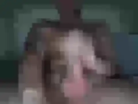 sexyboy96960 online show from February 7, 2026, 3:53 pm