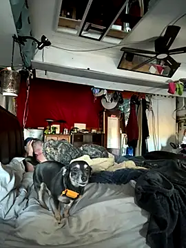 Snapshot of PeytonJohnn chatting on December 1, 2025, 4:08 pm PeytonJohnn online show from December 1, 2025, 4:08 pm