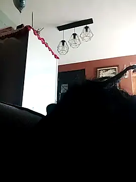 Snapshot of Bola453 chatting on March 2, 2026, 4:58 pm Bola453 online show from March 2, 2026, 4:58 pm