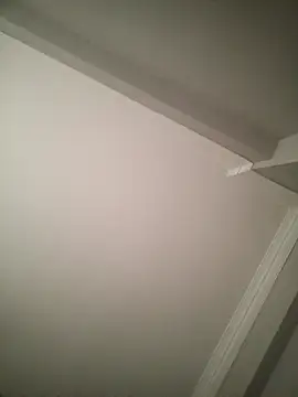 boy 3835 online show from March 20, 2025, 5:02 am