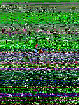 Snapshot of saltytuggah chatting on October 25, 2025, 10:36 am saltytuggah online show from October 25, 2025, 10:36 am