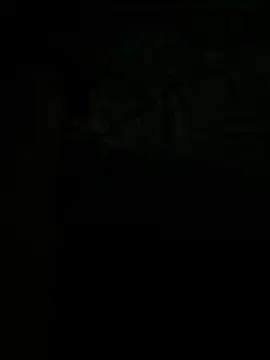 tran3 online show from September 12, 2025, 10:31 pm