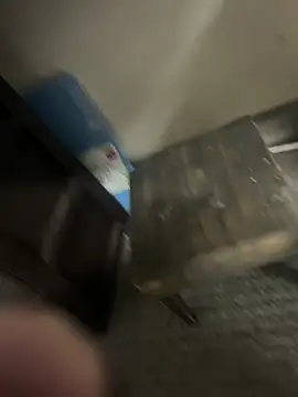 Firedad72FD online show from February 10, 2025, 9:14 am