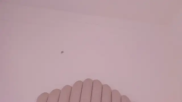 Snapshot of valerysantos_ chatting on May 14, 2026, 12:13 pm valerysantos online show from May 14, 2026, 12:13 pm