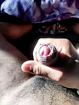 Lover boy 69  online show from December 16, 2025, 3:55 am