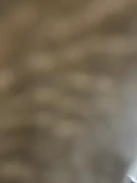 Snapshot of BhadBhad_Kitty chatting on February 14, 2025, 6:45 am BhadBhad Kitty online show from February 14, 2025, 6:45 am