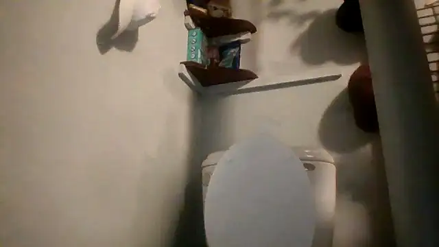 Snapshot of lilbishmiss chatting on May 15, 2026, 11:36 pm lilbishmiss online show from May 15, 2026, 11:36 pm