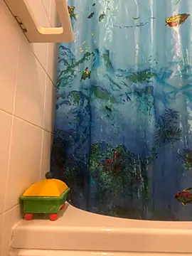 4n4l1zz4m1 online show from November 27, 2025, 3:34 pm