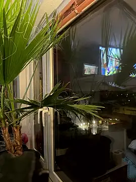 Snapshot of pillepallex84x chatting on January 9, 2026, 4:47 pm pillepallex84x online show from January 9, 2026, 4:47 pm