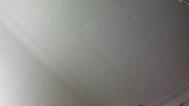 Snapshot of gorkamacbew chatting on September 9, 2025, 1:59 am gorkamacbew online show from September 9, 2025, 1:59 am