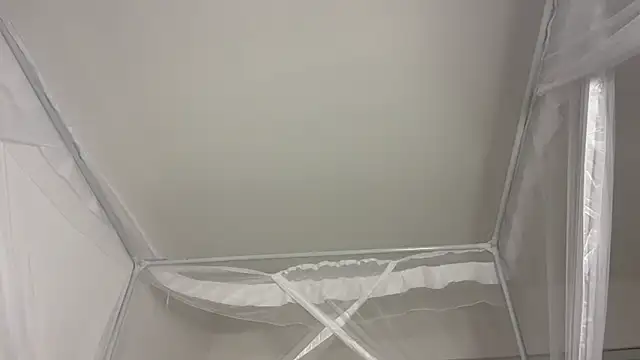 Snapshot of shandiloveslemonss chatting on December 20, 2025, 8:06 am shandiloveslemonss online show from December 20, 2025, 8:06 am