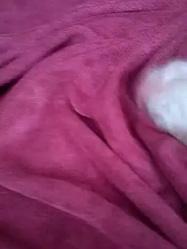 Maksim030 online show from December 10, 2024, 9:55 am