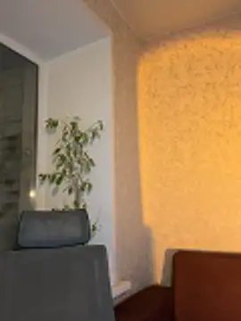 saint cat25 online show from March 4, 2026, 7:43 pm