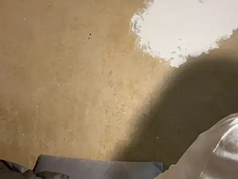 saint cat25 online show from February 18, 2026, 9:22 pm