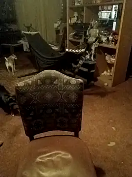 wilsons12 online show from February 14, 2026, 11:10 am