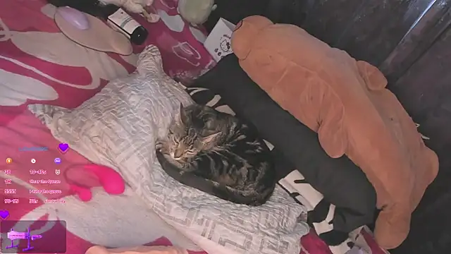 Snapshot of MiaGoth_ chatting on September 13, 2025, 9:15 pm MiaGoth online show from September 13, 2025, 9:15 pm