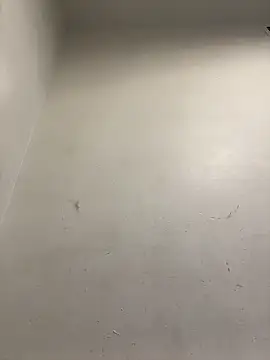 honeybrow online show from January 8, 2025, 9:55 pm