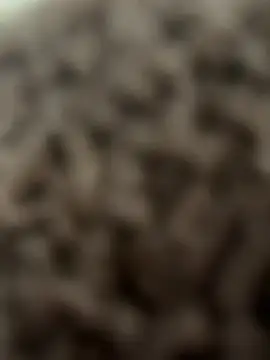 Snapshot of bumpinthat chatting on February 14, 2026, 12:11 am bumpinthat online show from February 14, 2026, 12:11 am