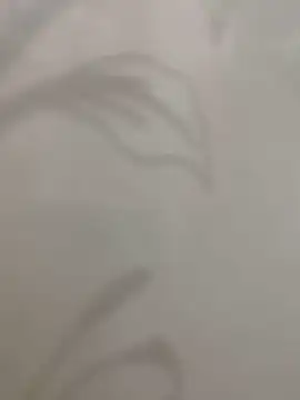 Sheik z o online show from November 16, 2025, 5:50 pm