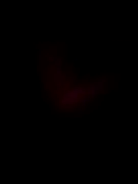 Snapshot of Boss199971 chatting on November 7, 2025, 11:37 am Boss199971 online show from November 7, 2025, 11:37 am