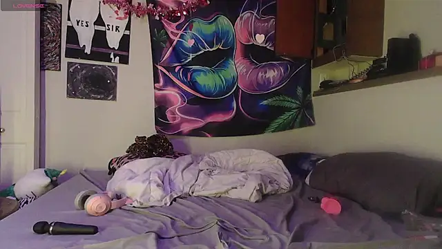 NovaLove2002 online show from February 24, 2026, 1:06 am