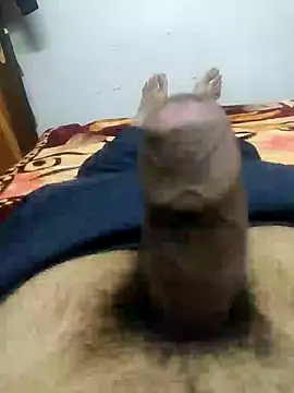 Snapshot of fuckboi2103 chatting on January 5, 2025, 8:54 am fuckboi2103 online show from January 5, 2025, 8:54 am