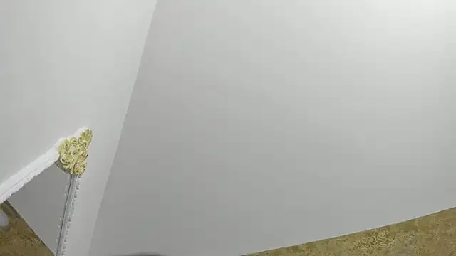 Snapshot of PandoraRider chatting on January 11, 2026, 12:01 pm PandoraRider online show from January 11, 2026, 12:01 pm