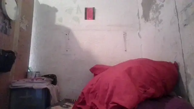 Snapshot of Polygamist chatting on April 22, 2026, 10:00 am Polygamist online show from April 22, 2026, 10:00 am