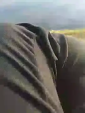 Snapshot of hexsmith96 chatting on December 18, 2024, 2:17 pm hexsmith96 online show from December 18, 2024, 2:17 pm