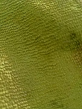 sadunt online show from December 17, 2025, 9:36 am