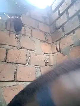 Black juicy24 online show from April 12, 2026, 4:16 am