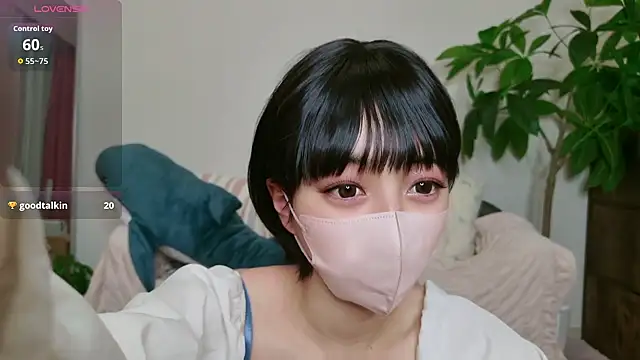 cohaku 329 online show from November 18, 2025, 12:08 pm